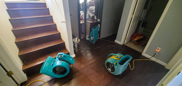 Best Fire Damage Restoration  in Aldine, TX