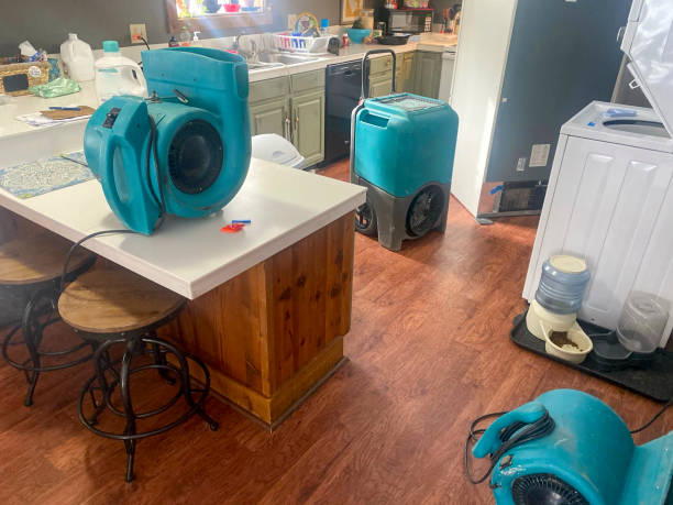 Best Professional water damage repair  in Aldine, TX
