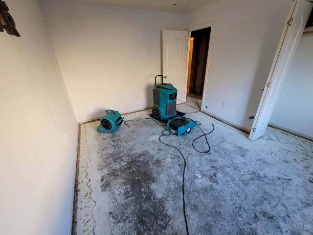 Best Water damage restoration services  in Aldine, TX