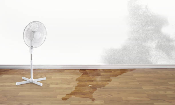 Best Water damage repair service  in Aldine, TX