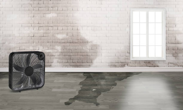 Best Flood damage cleanup  in Aldine, TX