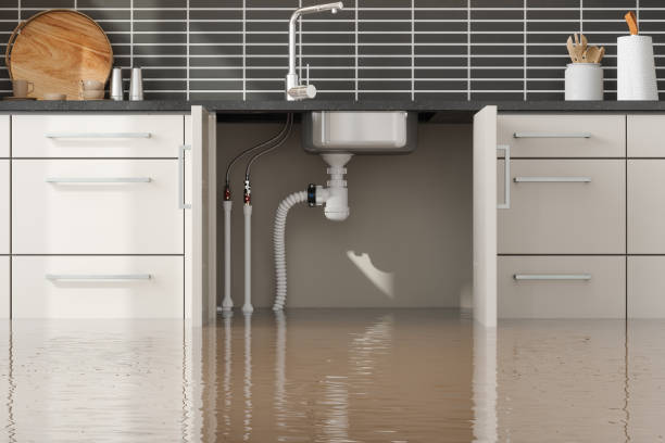 Best Basement water damage restoration  in Aldine, TX